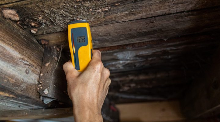 hand holding up a damp meter to a wooden wall