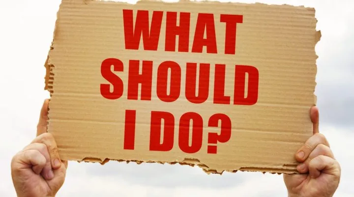 cardboard poster being held up with the text "what should i do"