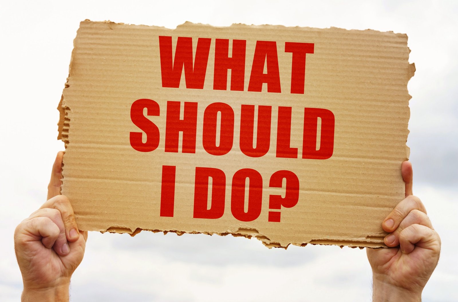 cardboard poster being held up with the text "what should i do"